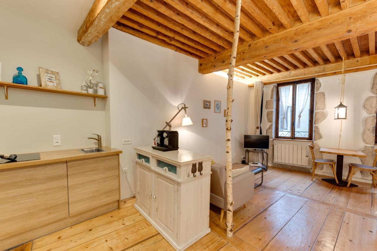 La Cour Filaterie - Suite Of 30 Sq M In The Annecy Breakfast Included Kültér fotó